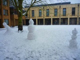 Snow in Cambridge 2012