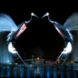 resort_cranes_18