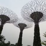 the other is the OCBC skywalk