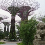 Home to the garden skywalk