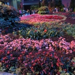 just beside the main flower bed