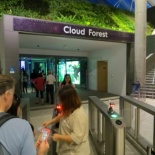 the cloud forest!