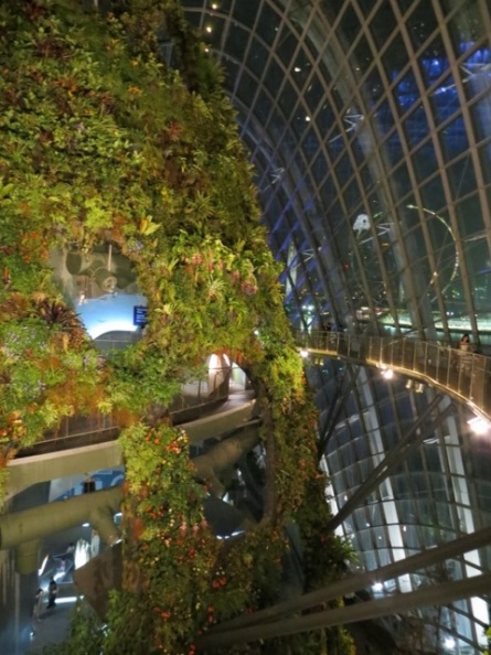 the Planted wall with visible floors