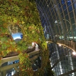 the Planted wall with visible floors