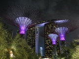 The Supertrees all lit at night