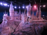 The hogwarts castle! 