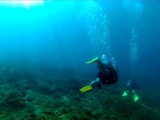 Dayang scuba gilldivers 2015 10