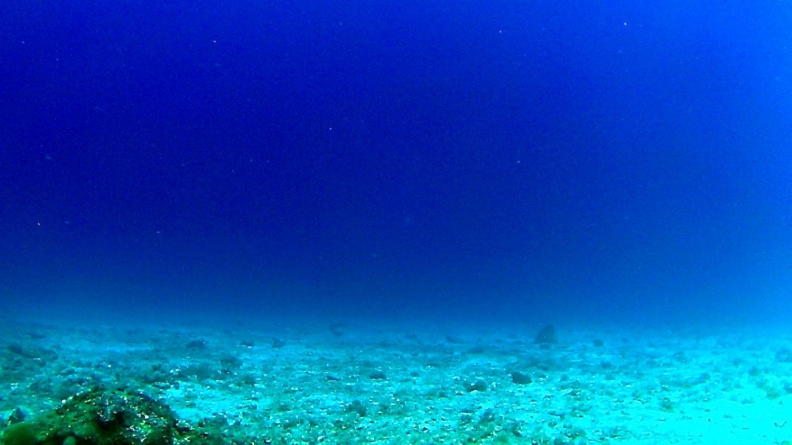 Dayang_scuba_gilldivers_2015_20.jpg