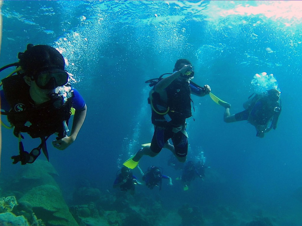 Dayang scuba gilldivers 2015 38