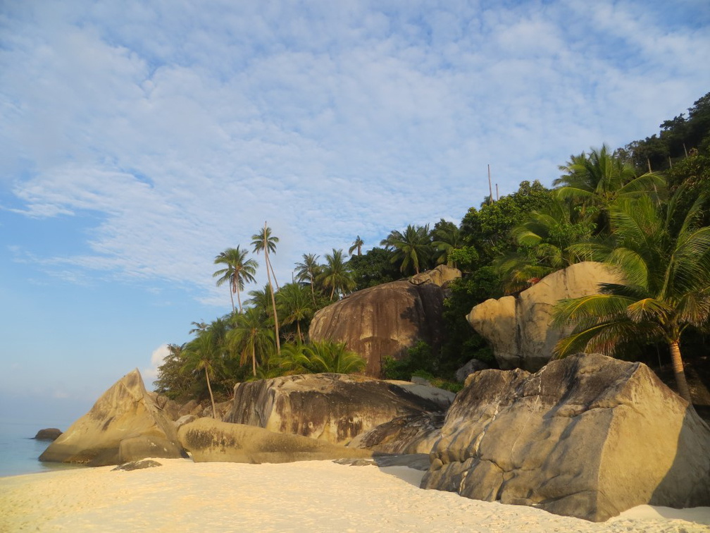 Dayang scuba gilldivers 2015 59