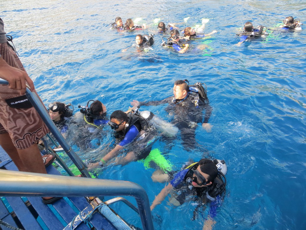 Dayang scuba gilldivers 2015 71