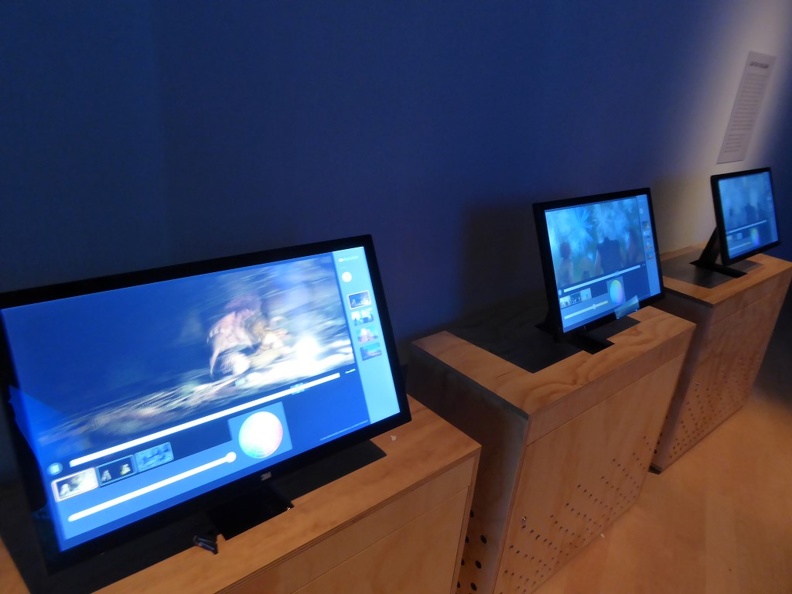 Dreamworks ArtScience 37