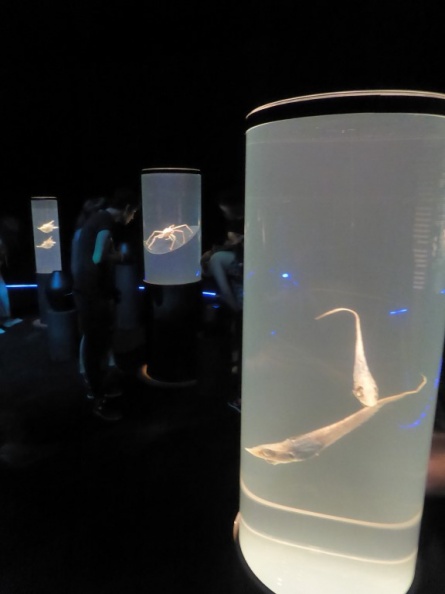 The Deep Exhibition 08