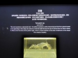 The Deep Exhibition 27