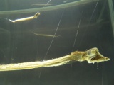 The Deep Exhibition 28