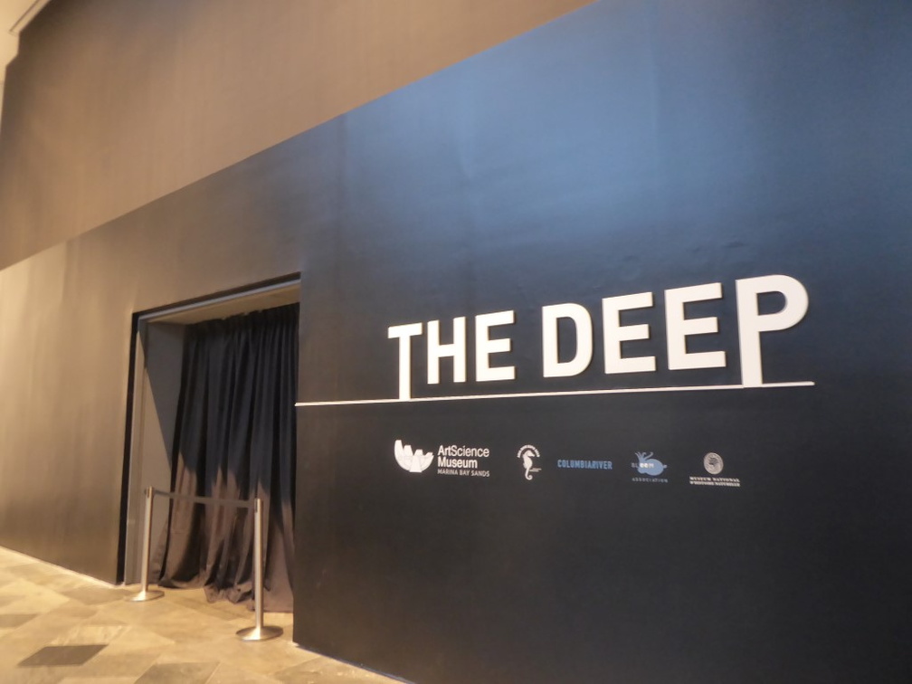 The Deep Exhibition 46