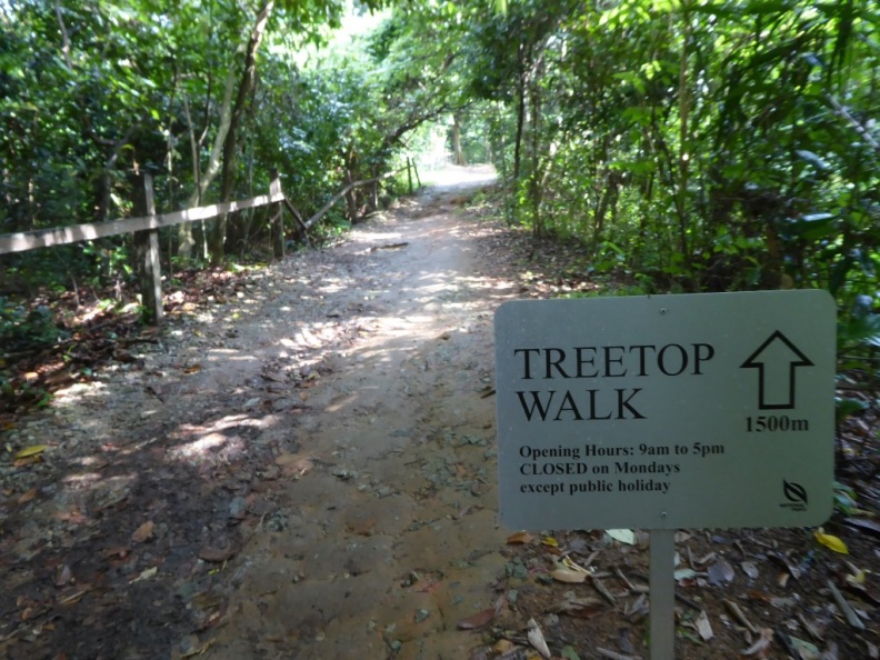 HSBC_TreeTop_Walk_09.jpg