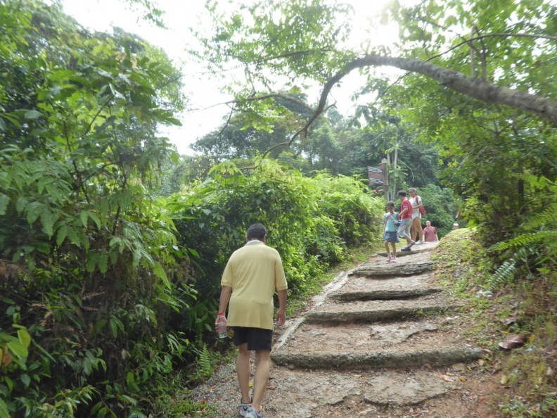 HSBC_TreeTop_Walk_12.jpg