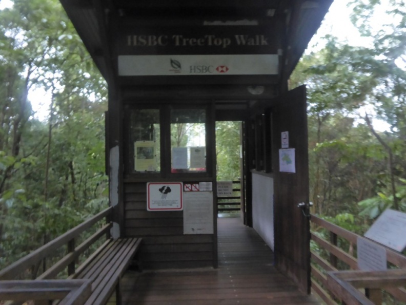 HSBC_TreeTop_Walk_22.jpg