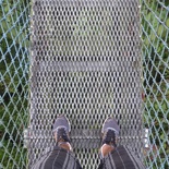 HSBC_TreeTop_Walk_24.jpg
