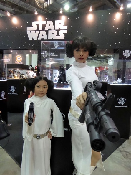 stgcc 2015 020