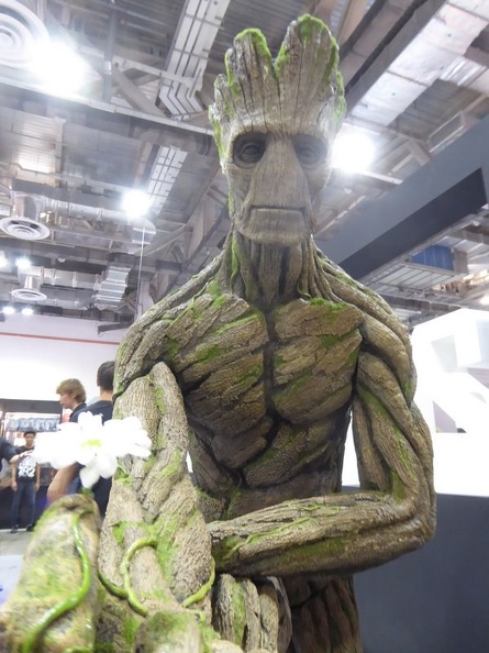 stgcc 2015 025