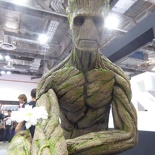 stgcc 2015 025