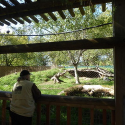 Woodland Park Zoo, Seattle