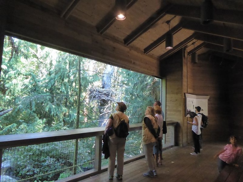 woodland_park_zoo_seattle_33.jpg