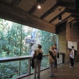 woodland park zoo seattle 33