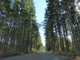 Mount Rainer National Park