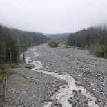 mount rainer washington 07