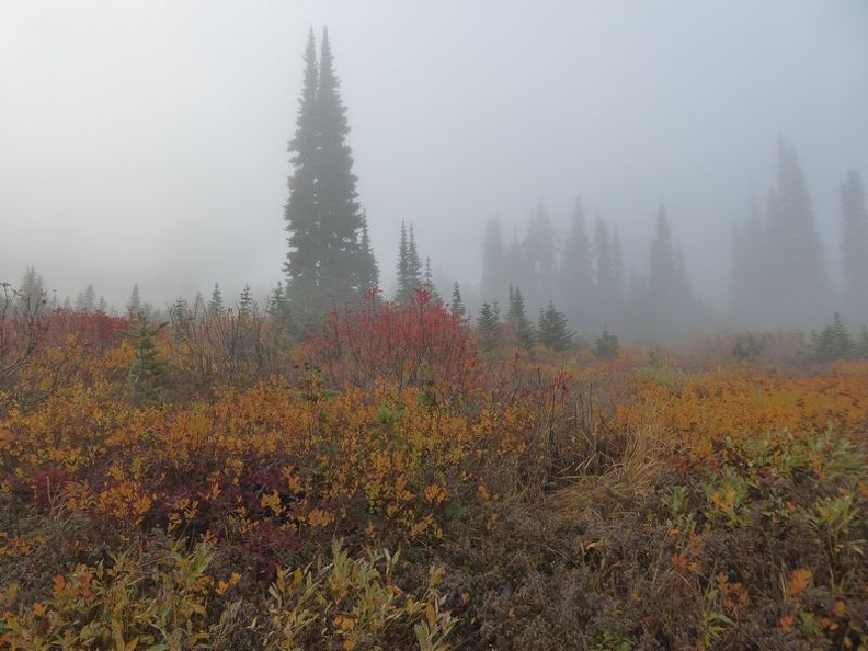 mount rainer washington 26