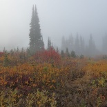 mount rainer washington 26