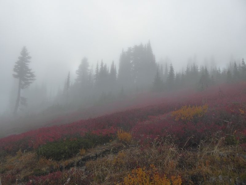 mount rainer washington 27