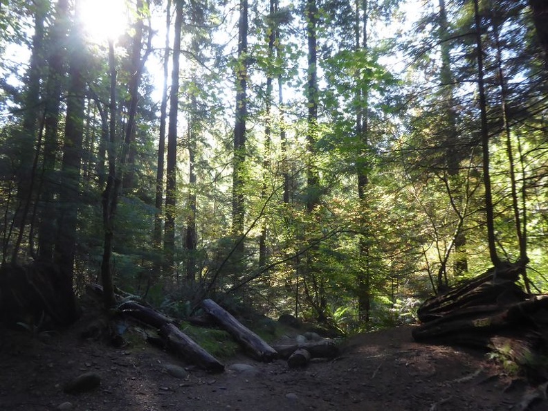 lynn valley park 16