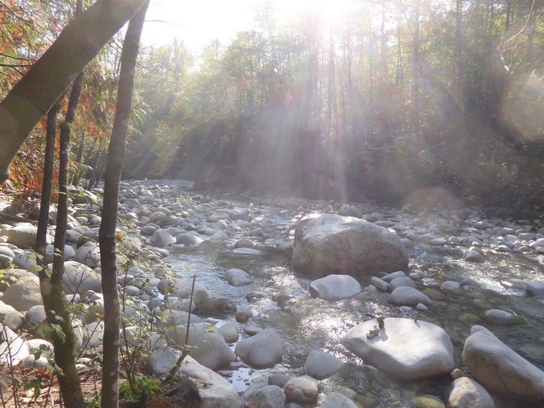 lynn valley park 18