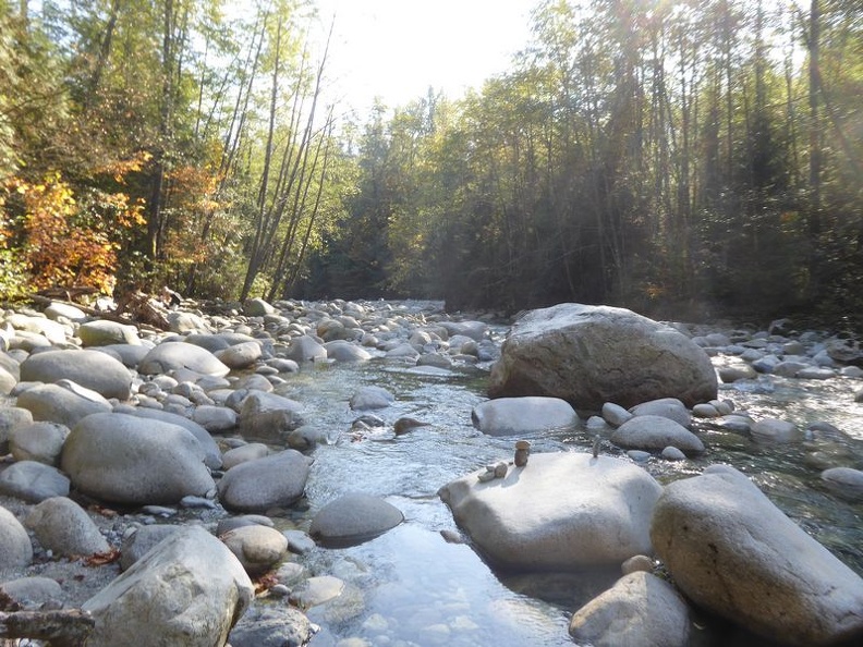 lynn valley park 19