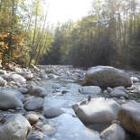 lynn valley park 19