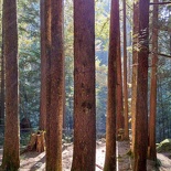 lynn valley park 23