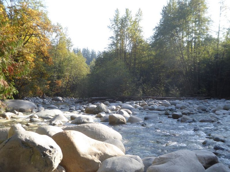 lynn valley park 35