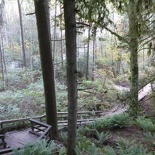 lynn valley park 48