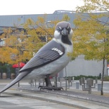 vancouver waterfront city 39