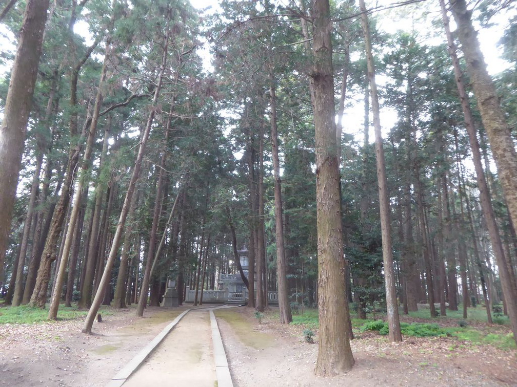 inari shrine 22