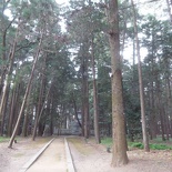 inari shrine 22