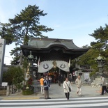 inari shrine 49