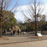 honnoi park 101