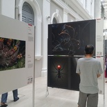 world press photo 2015 08