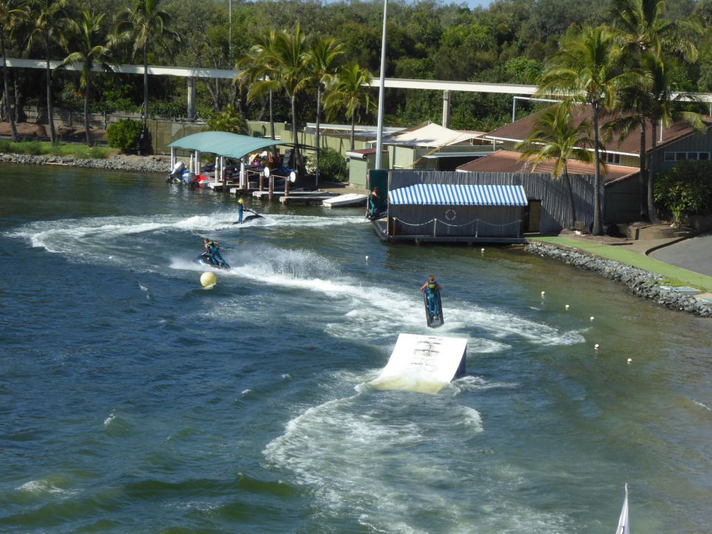 goldcoast seaworld 049