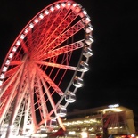 brisbane city 2015 088
